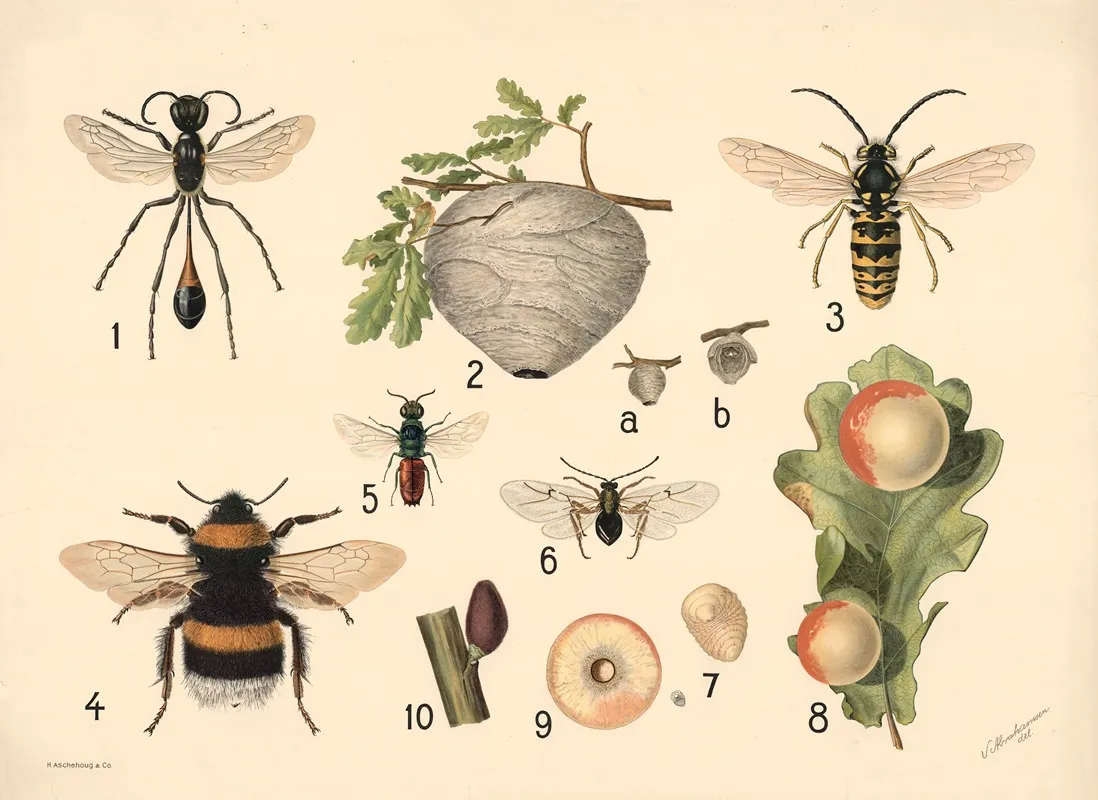 Wasps by V. Abrahamsen - Canvas Print