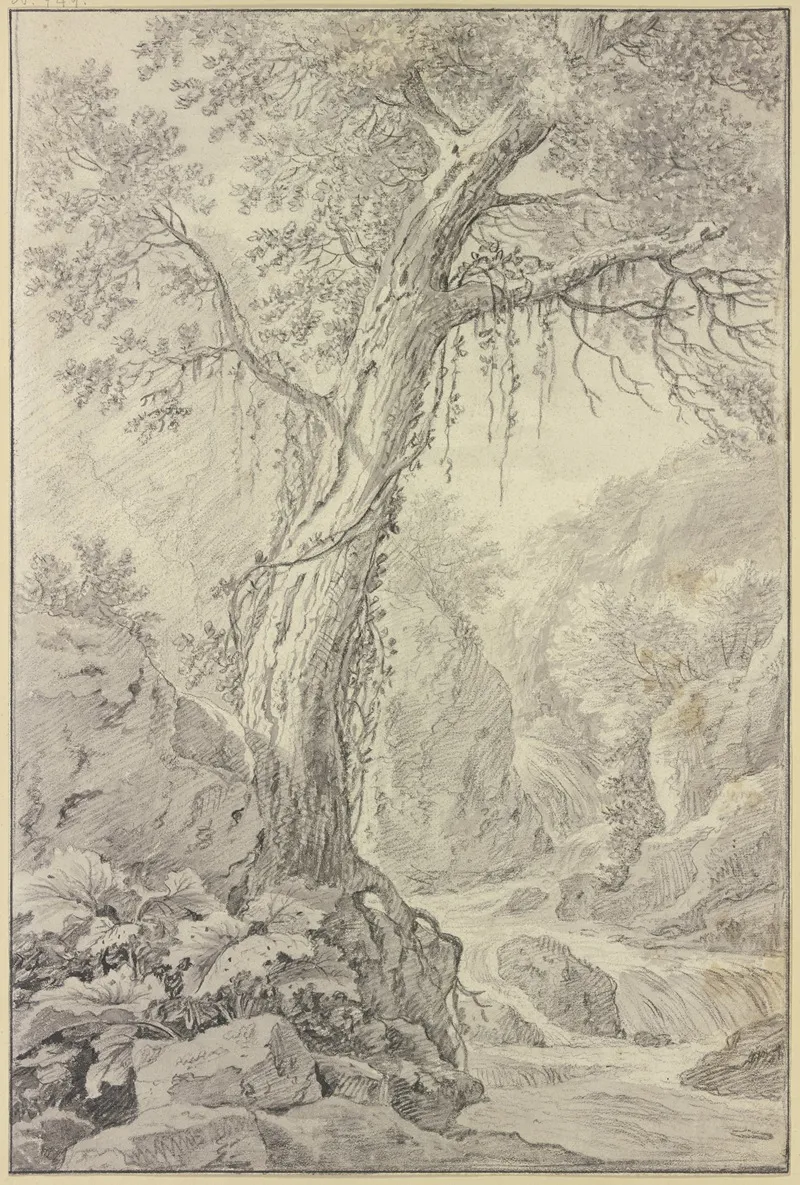 Wasserfall Dabei Ein Groser Baum