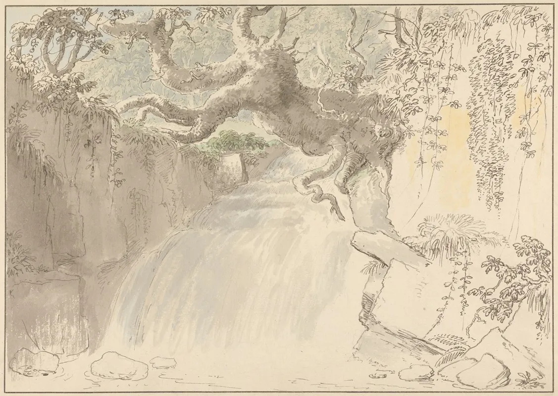 Waterfall And Tree Trunk