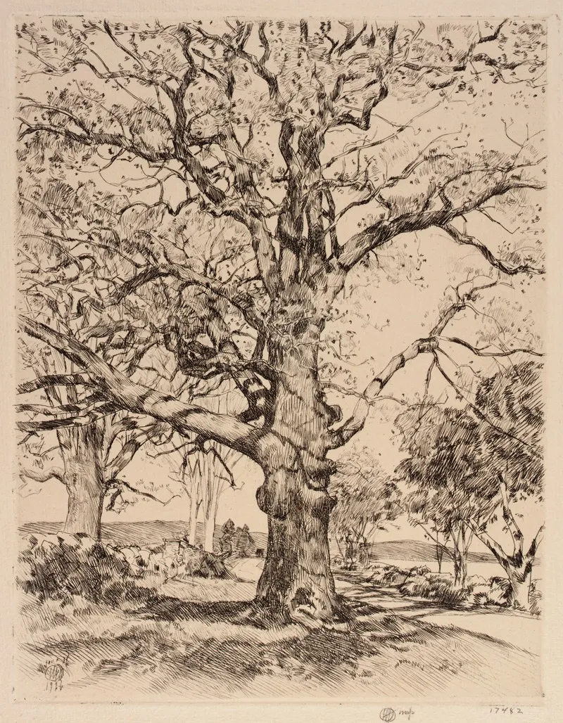 Wayside Inn Oaks In Spring by Childe Hassam - Canvas Print