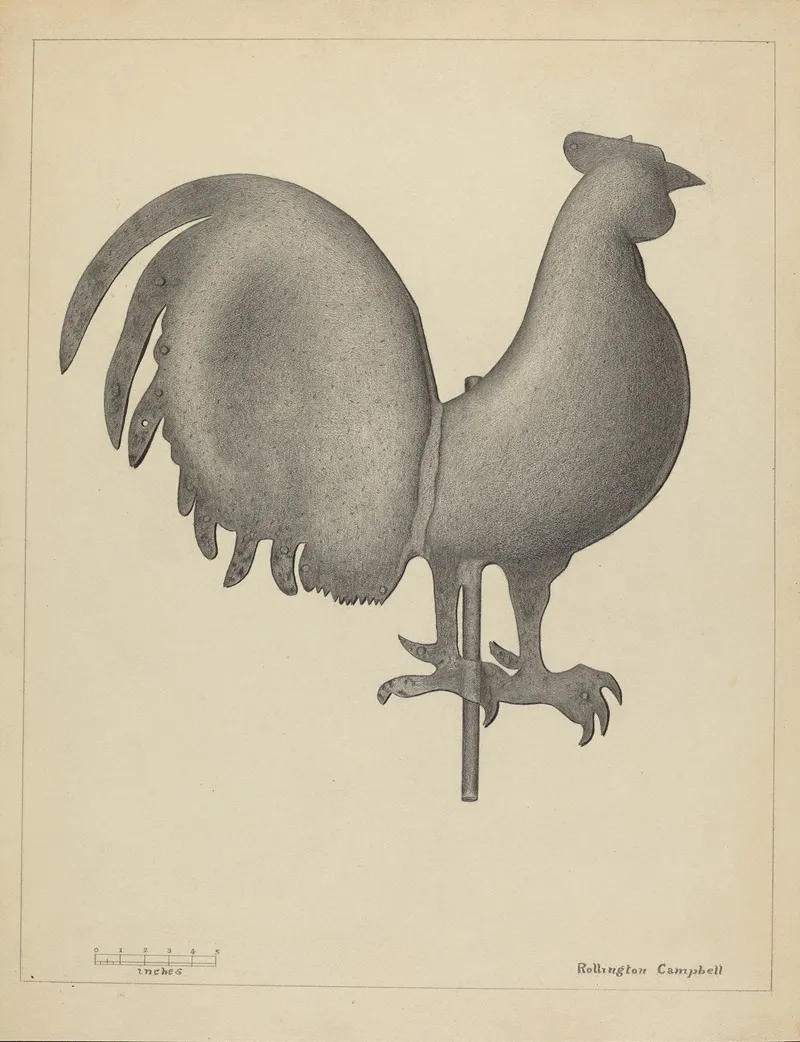 Weather Vane 80 by Rollington Campbell - Canvas Print