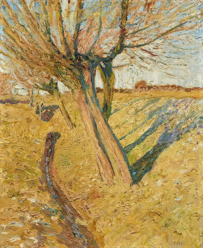Weiden Am Bach by Walter Ophey - Canvas Print