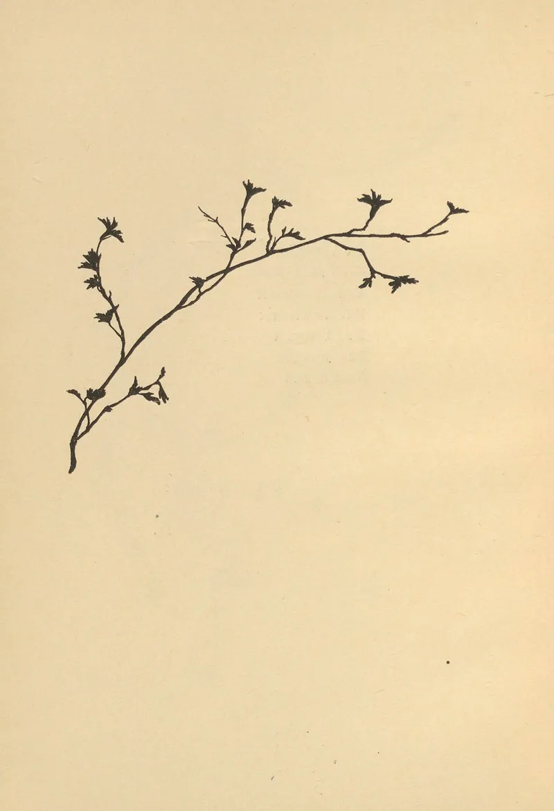 Wenn Fruhlig Wird Pl 07 2