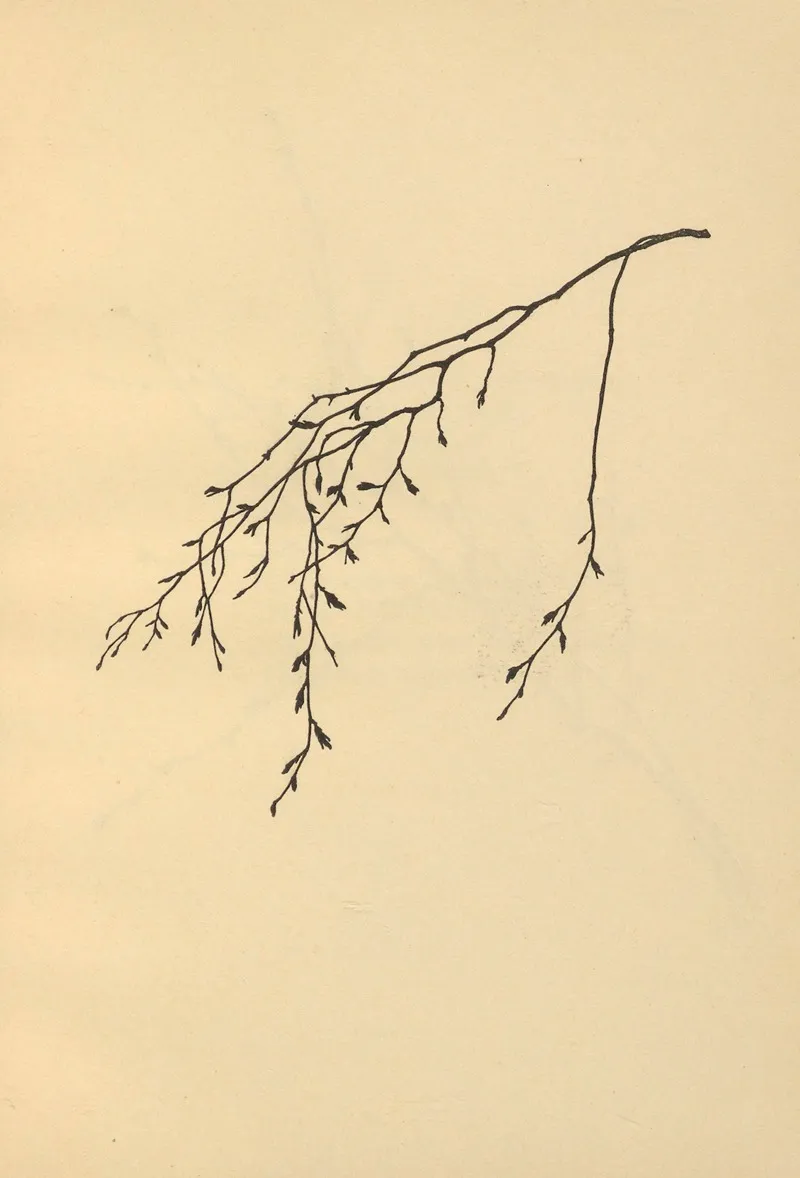 Wenn Fruhlig Wird Pl 12 2