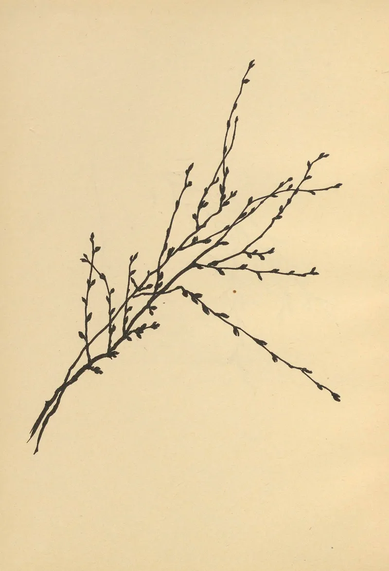 Wenn Fruhlig Wird Pl 13 2