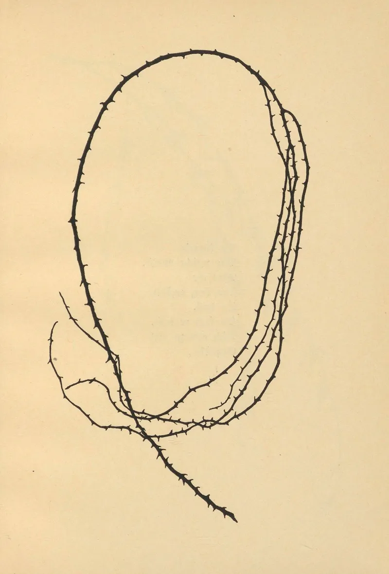 Wenn Fruhlig Wird Pl 16