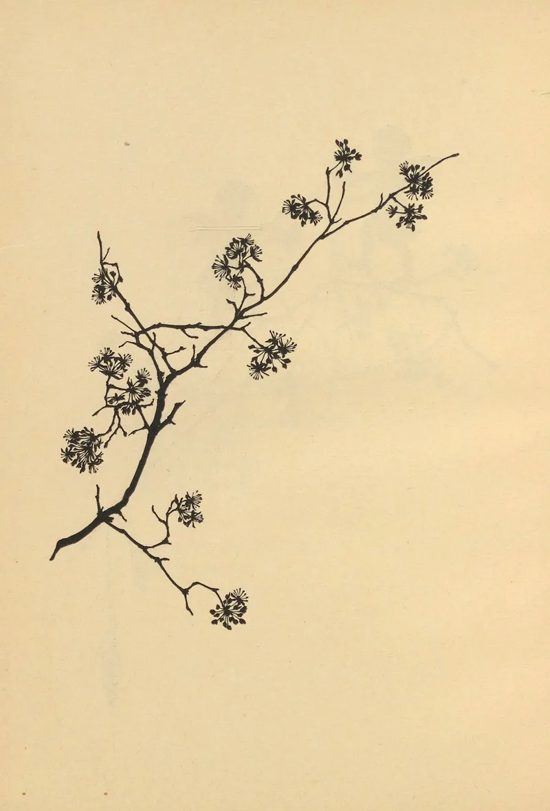 Wenn Fruhlig Wird Pl 26