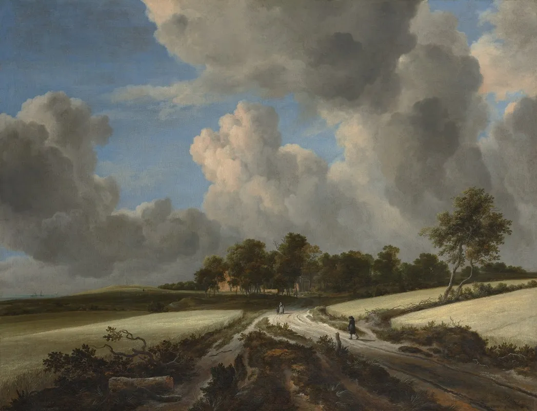 Wheat Fields by Jacob van Ruisdael - Canvas Print