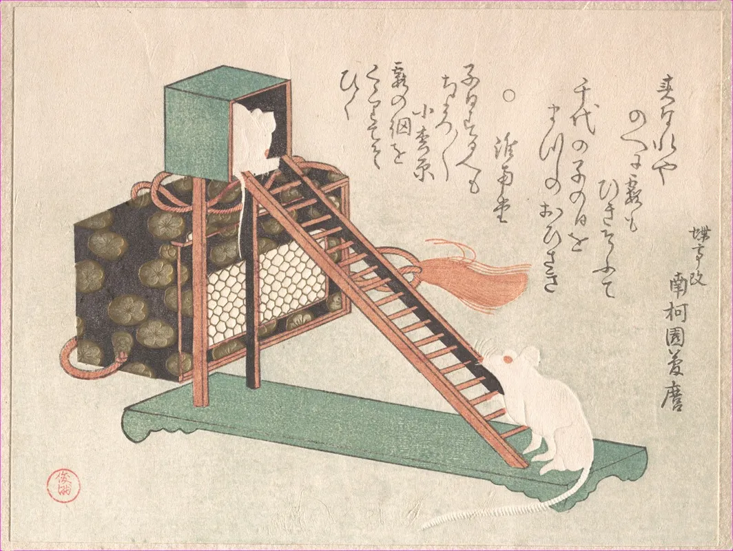 White Mice Playing