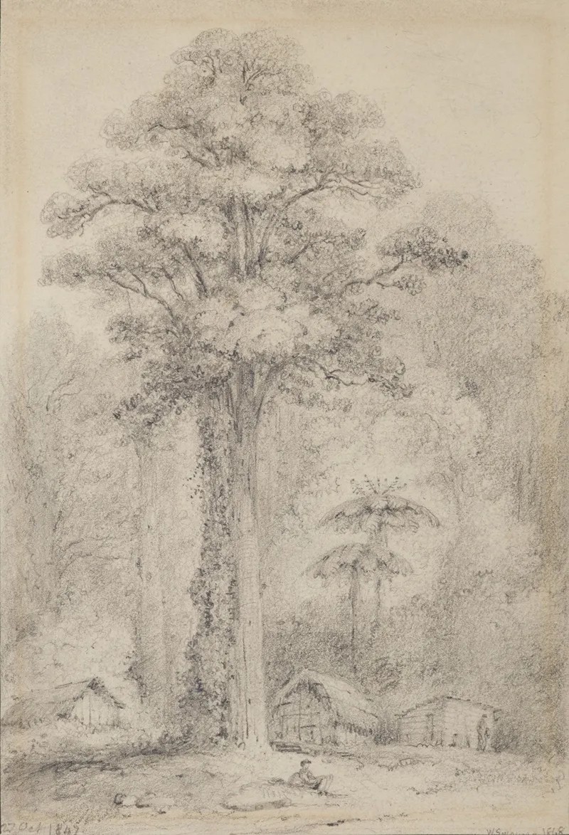 White Pine Stokes Valley Upper Hutt