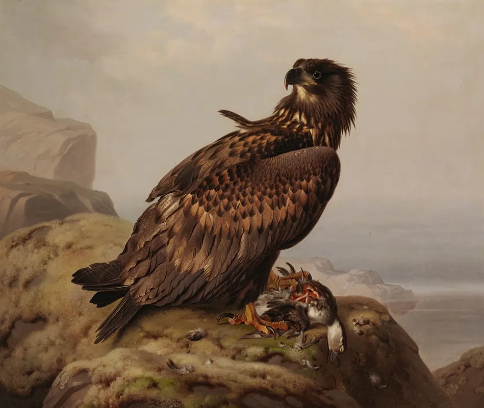 White Tailed Eagle With Its Prey by Ferdinand von Wright - Canvas Print