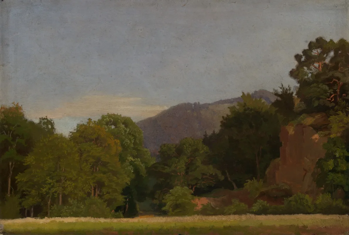 Wiese Am Waldrand Mit Hohenzug In Der Ferne by Emil Lugo - Canvas Print