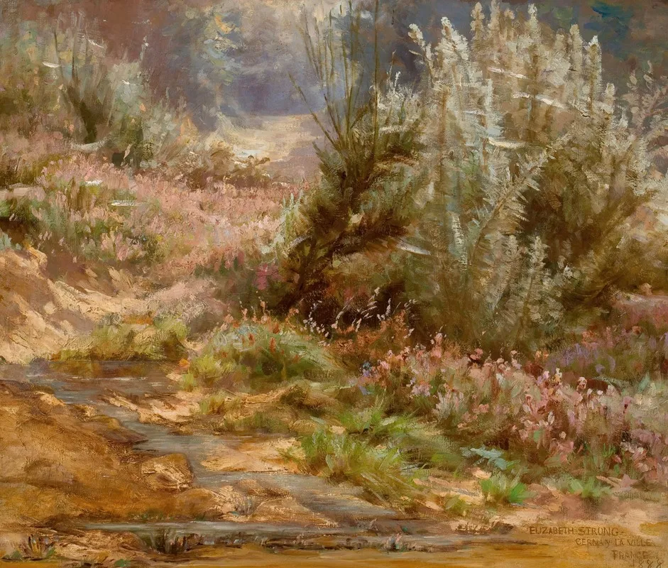 Wildflowers By A Stream