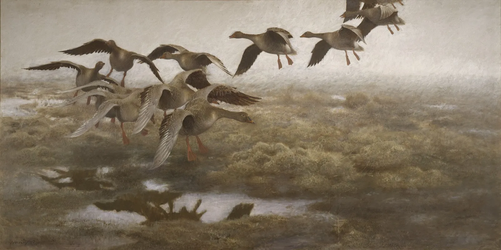 Wildgeese Settling by Bruno Liljefors - Canvas Print