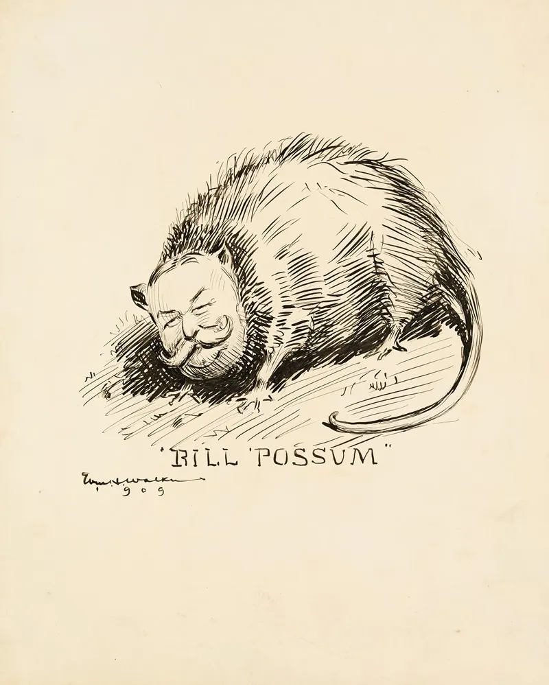 William Howard Taft Depicted As A Opossum