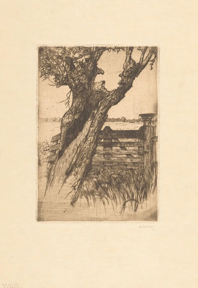 Willow 3 by Johannes Löhr - Canvas Print