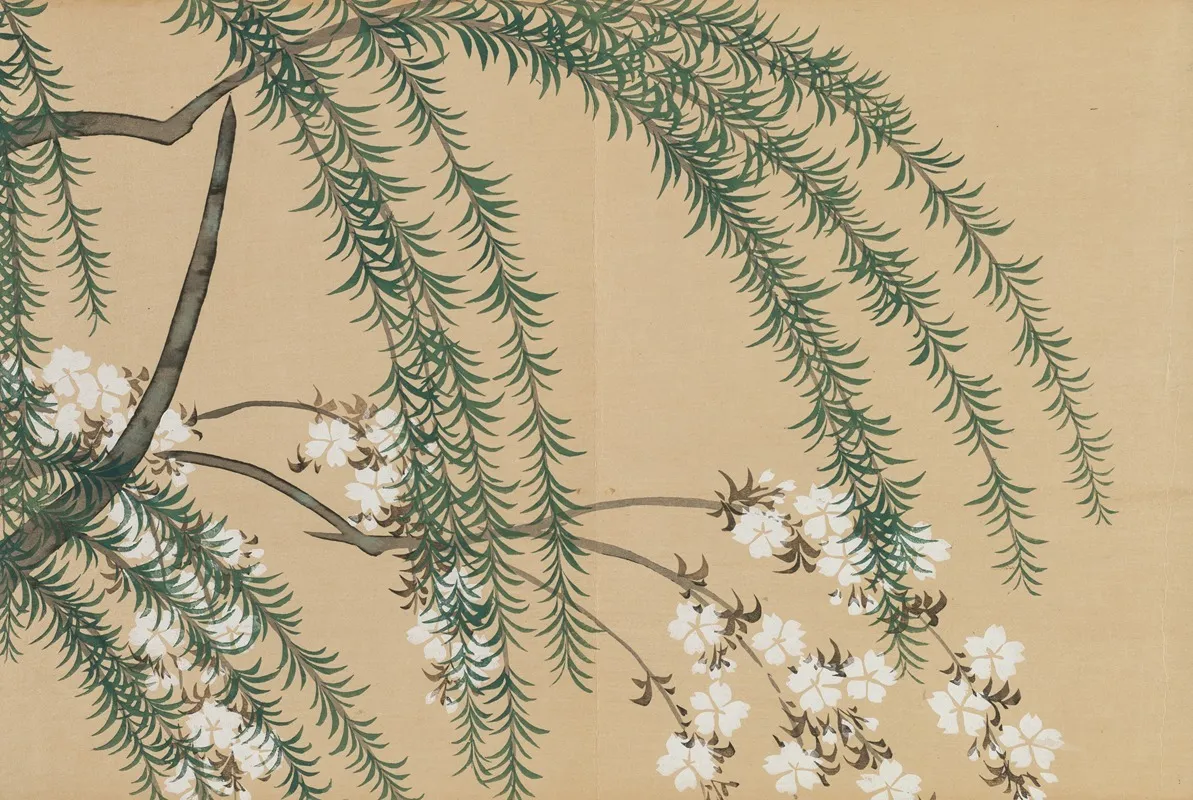 Willow And Cherry Yanagizakura by Kamisaka Sekka - Canvas Print