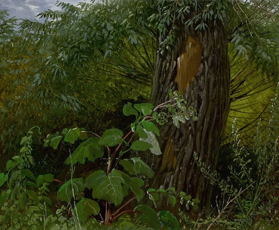 Willow Trunk With Undergrowth