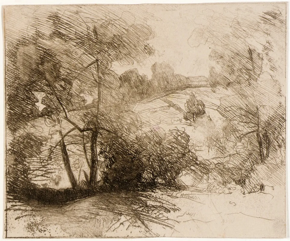 Willows 4