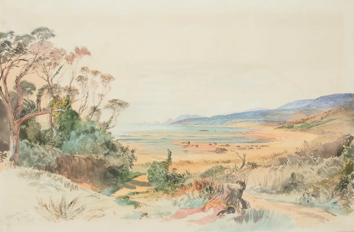 Wiltshire Bay And The Nuggets Otago Coast
