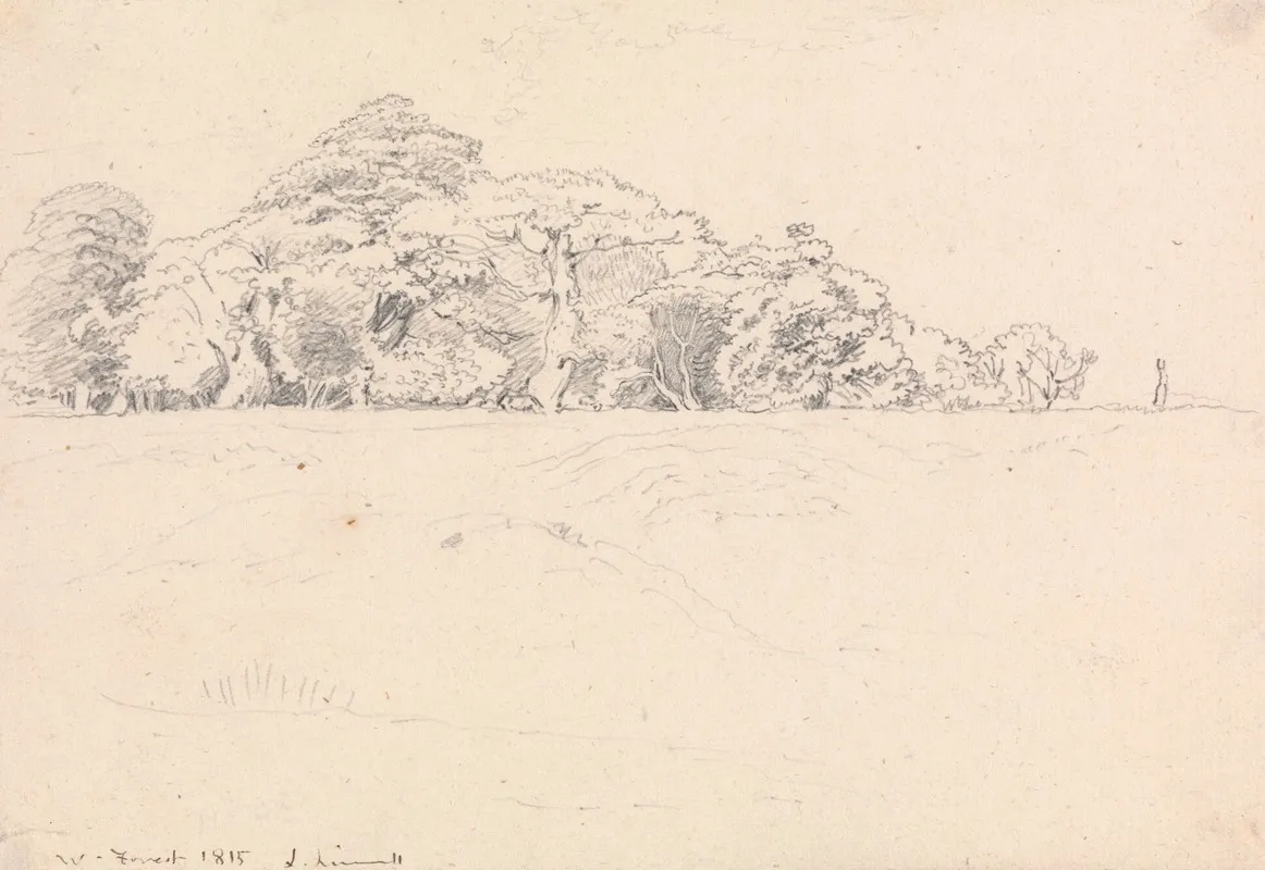 Windsor Forest by John Linnell - Canvas Print