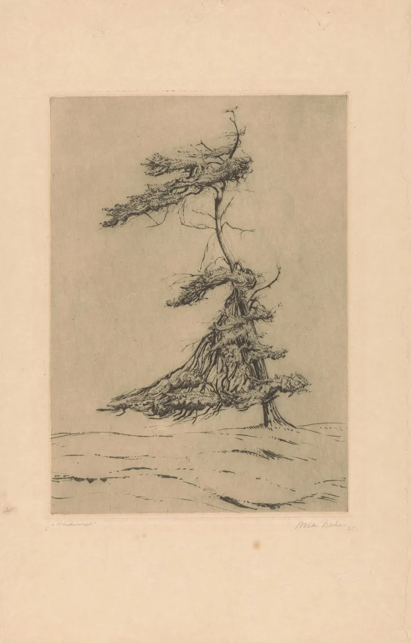 Windswept by Mia Bake - Canvas Print