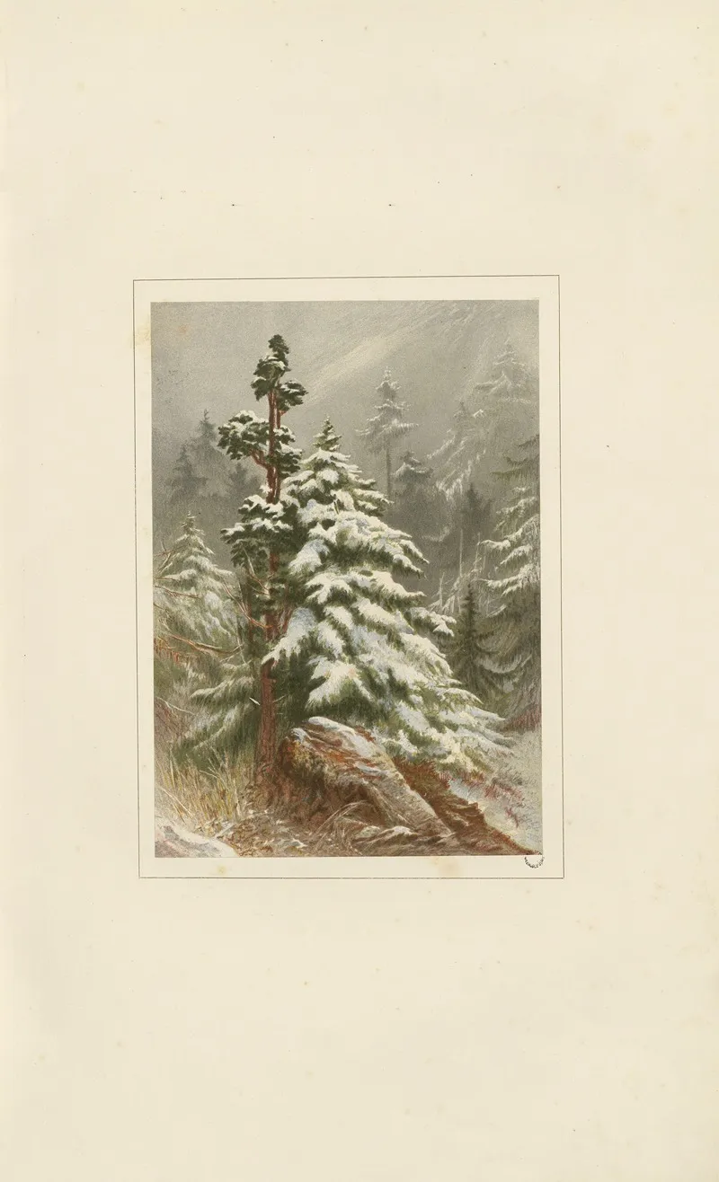 Winter 74 by Elijah Walton - Canvas Print