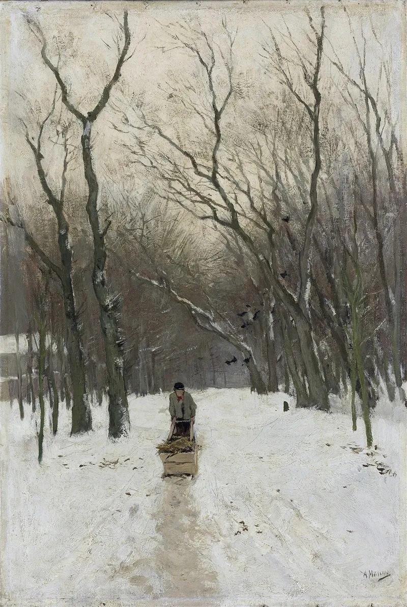 Winter In The Scheveningen Woods
