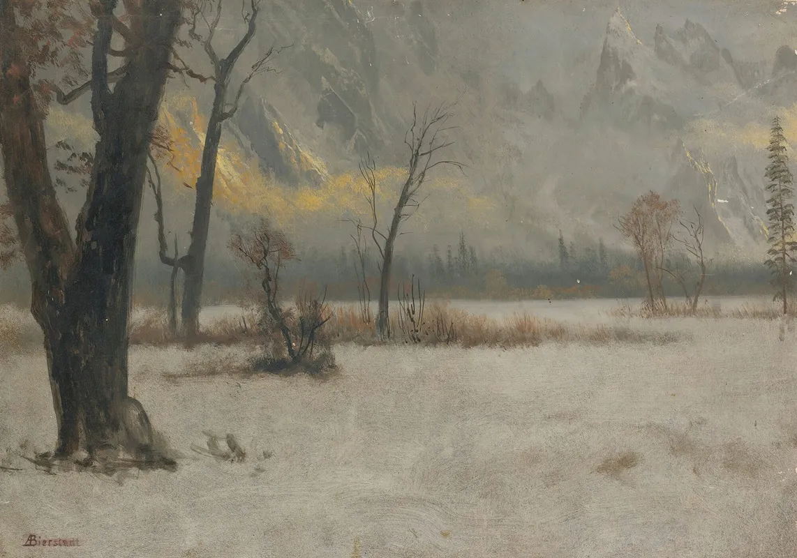 Winter Landscape 16