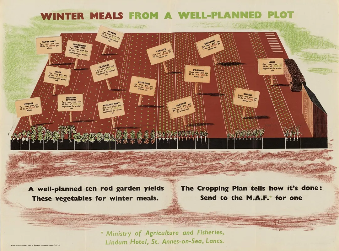 Winter Meals From A Well Planned Plot