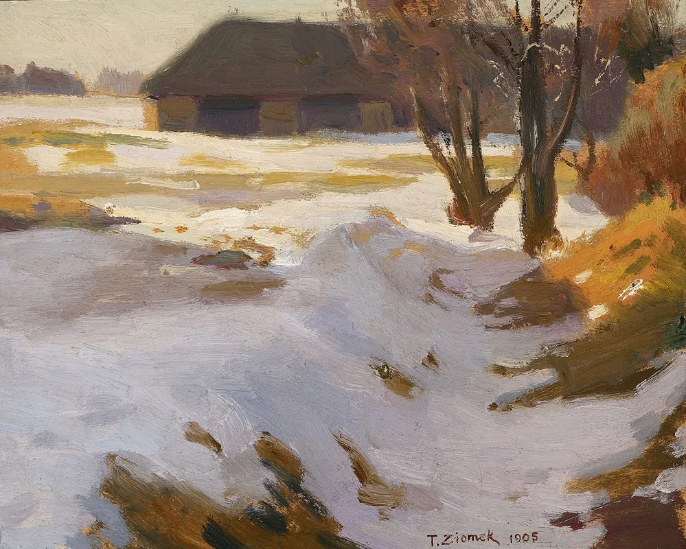 Winter Thaw by Teodor Ziomek - Canvas Print