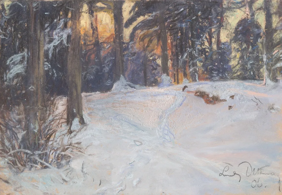 Winter Woods
