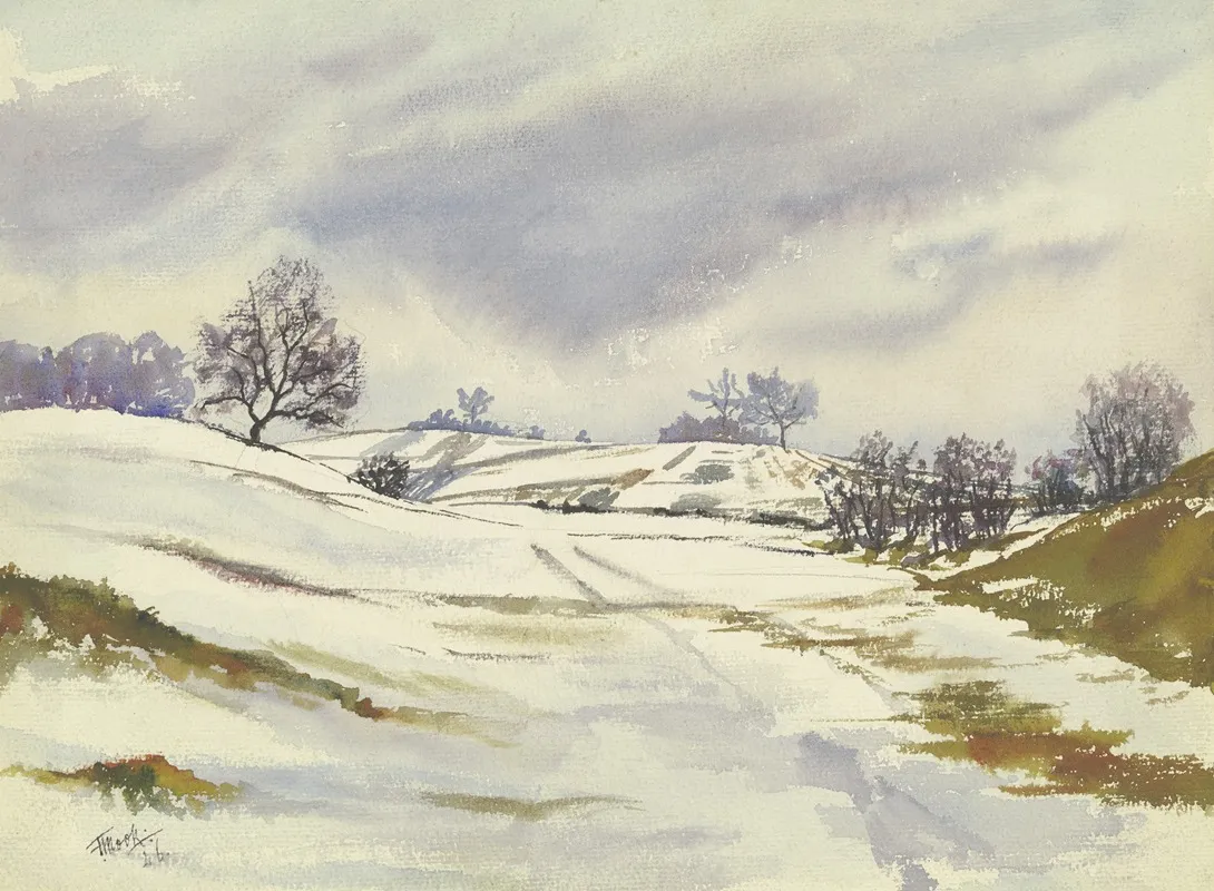 Wintery Landscape