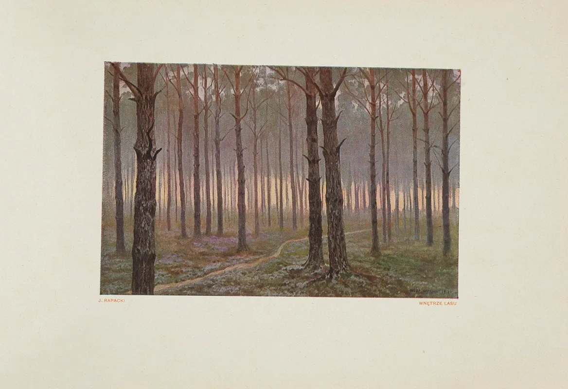 Wnetrze Lasu