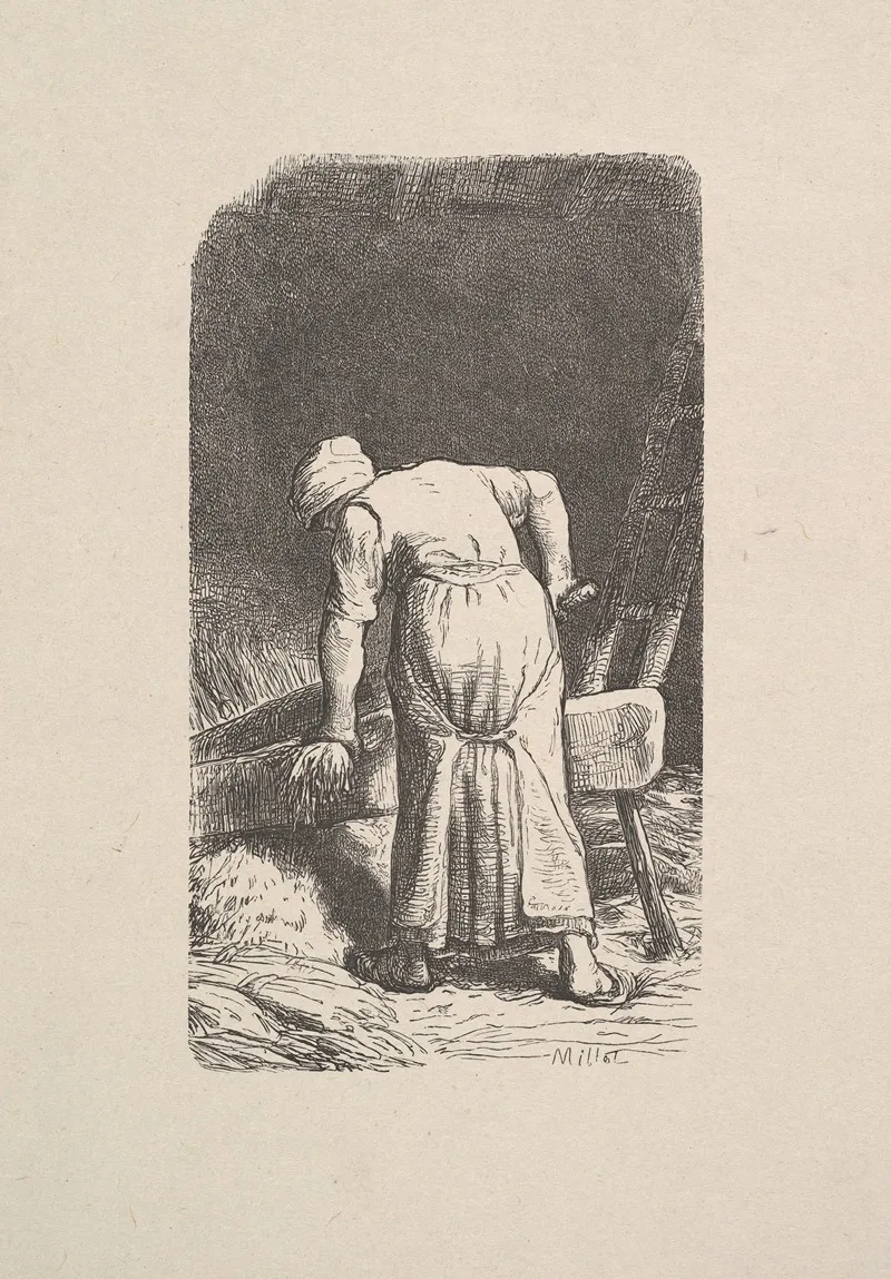Woman Cutting Wheat