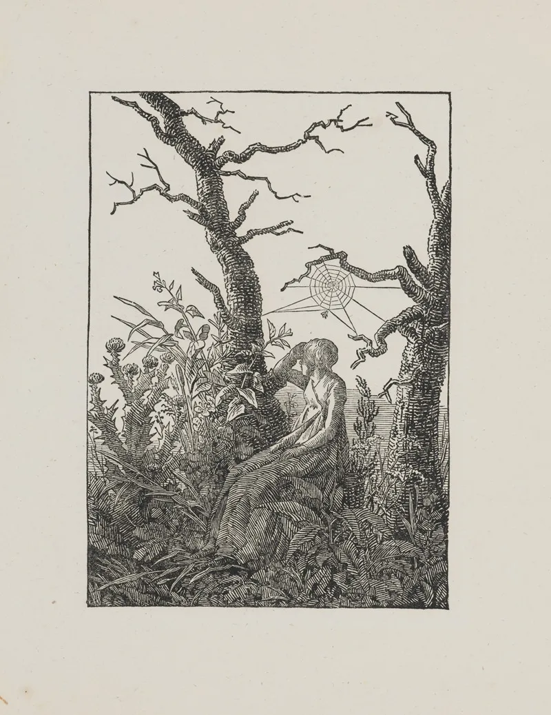 Woman With A Spiderweb