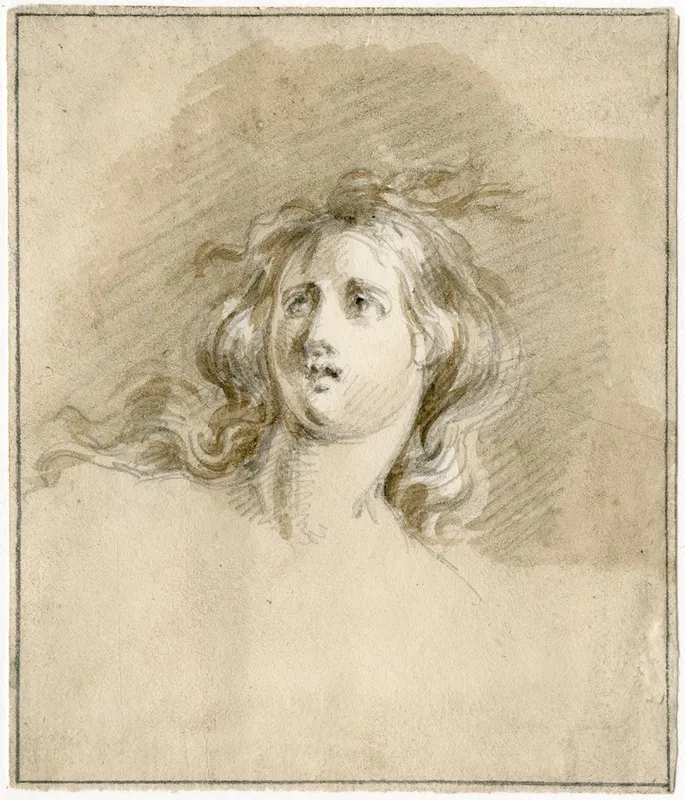 Womans Head Looking Upwards by David Humbert de Superville - Canvas Print