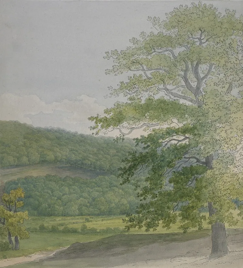 Wooded Landscape 18