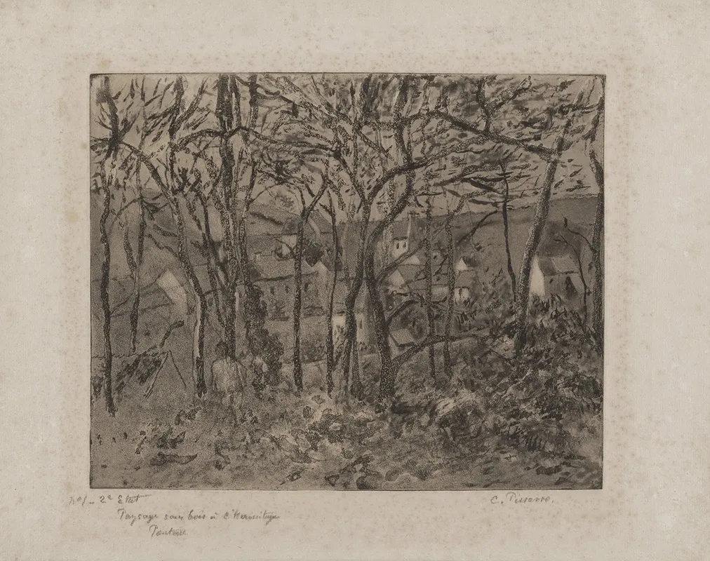 Wooded Landscape At The Hermitage