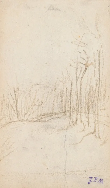 Woodland Clearing