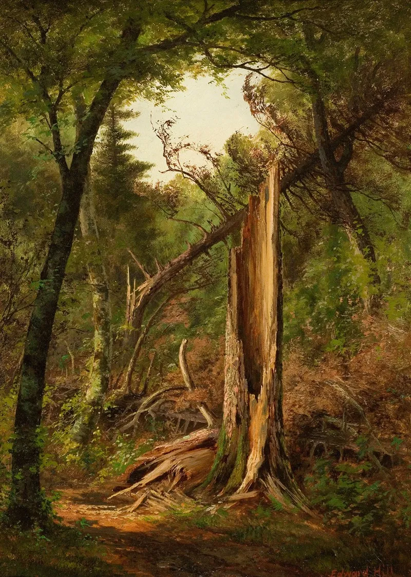 Woodland Interior by Edward Hill - Canvas Print