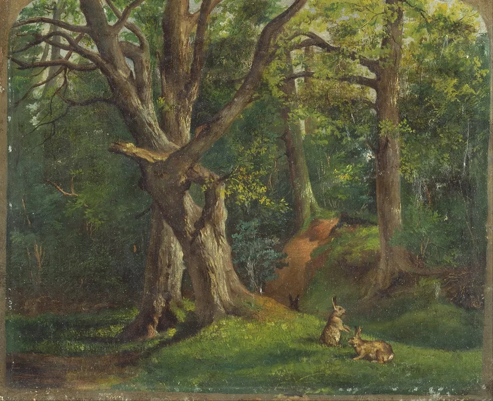 Woodland Scene With Rabbits