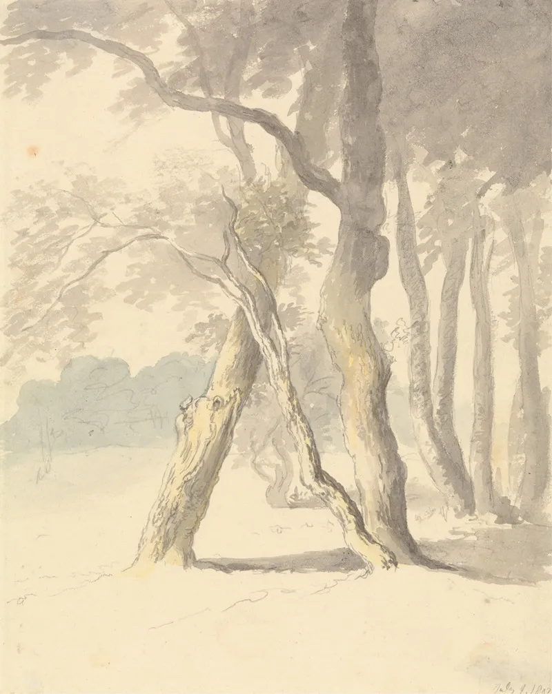 Woodland Study