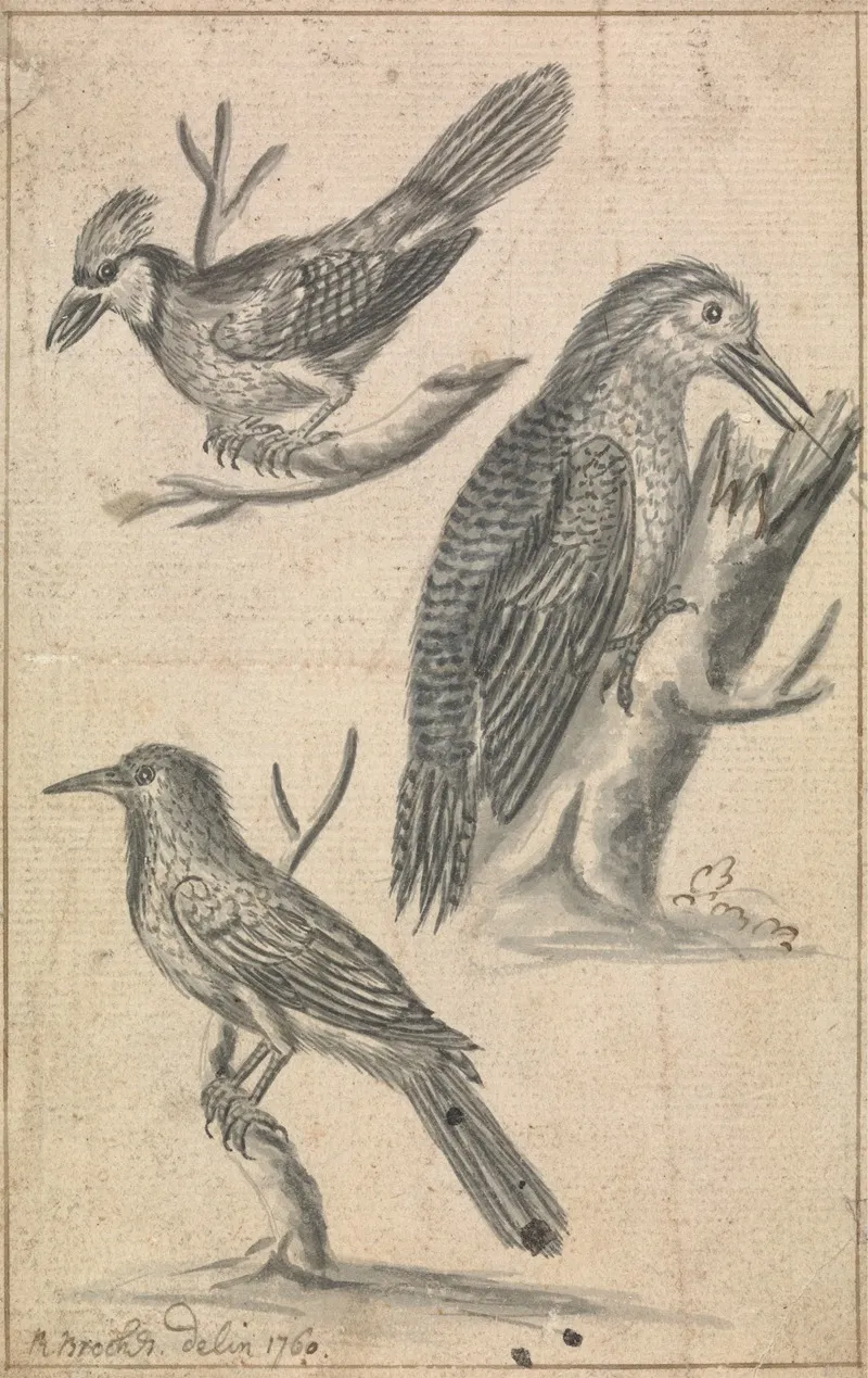 Woodpecker And Two Birds