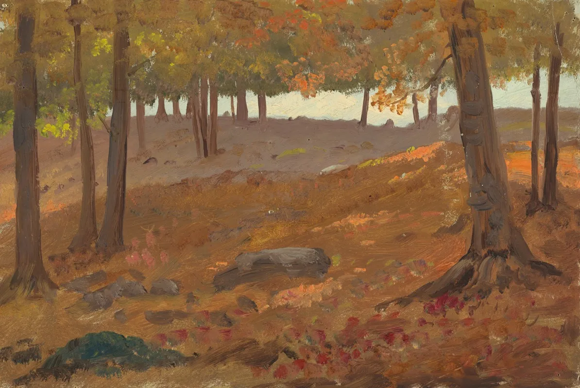 Woods In Autumn 2