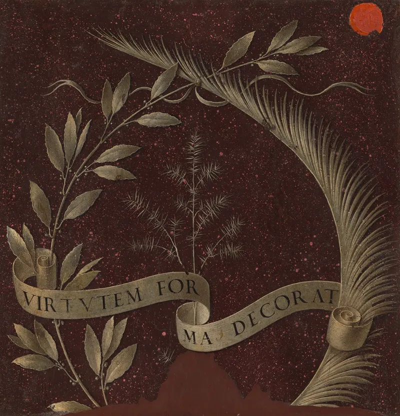 Wreath Of Laurel Palm And Juniper With A Scroll Inscribed Virtutem Forma Decorat by Leonardo da Vinci - Canvas Print