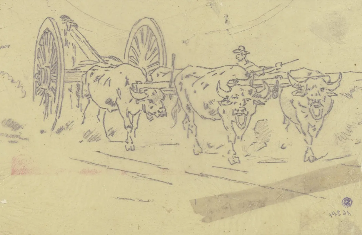 Yoke Of Oxen 2
