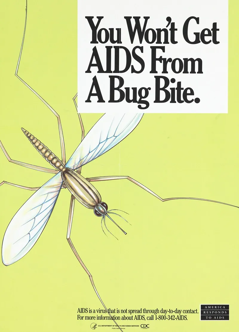 You Wont Get Aids From A Bug Bite