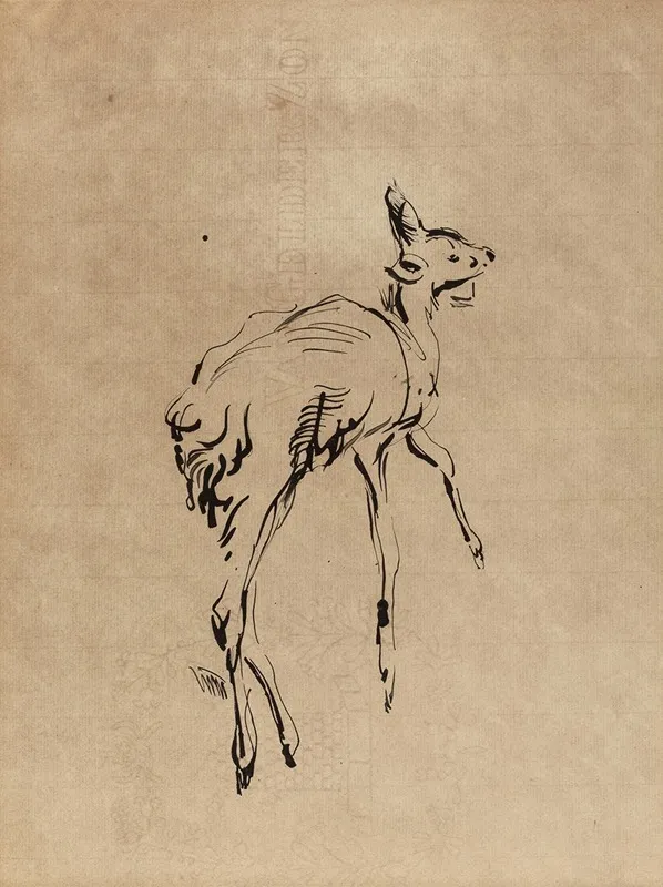 Young Deer 2