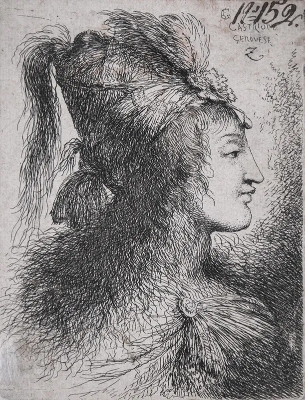 Young Man In Profile